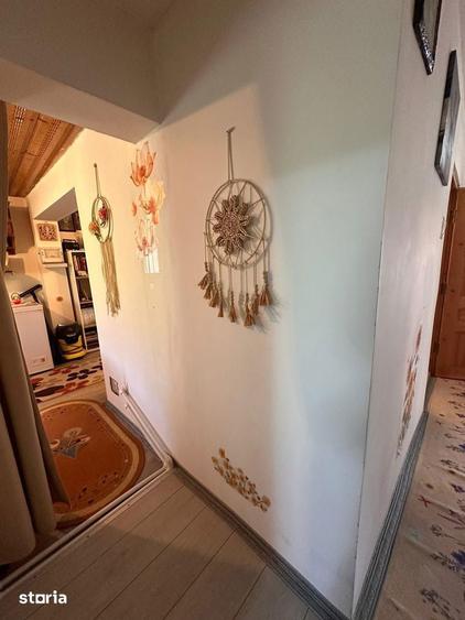 De vanzare casa ?i teren cu suprafata de 13.000mp, 52.000 euro - 16