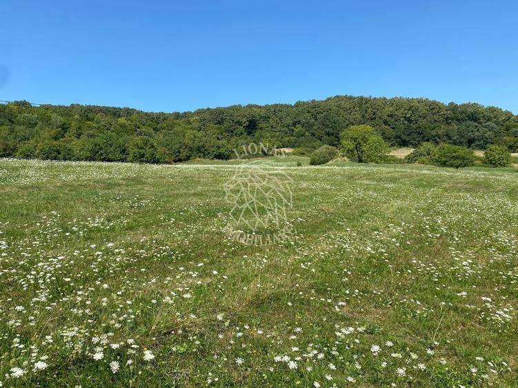 Teren agricol extravilan de 11000 mp, în Unirea