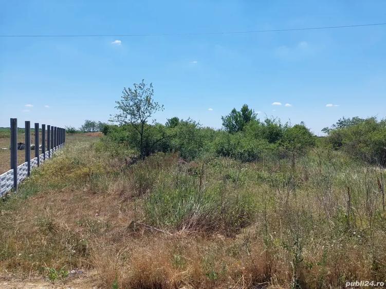 Teren de 2250 mp, în Milcov