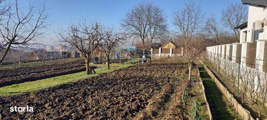 Teren de 650 mp, în Crăciunești