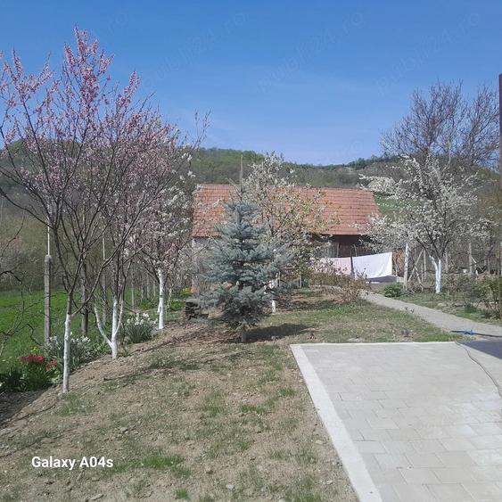 Casă cu 3 camere cu Teren 1400 Mp în Amnaș