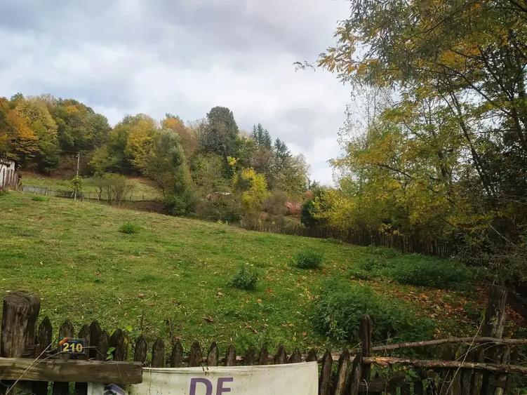 Teren intravilan de 1688 mp, în Sultanu
