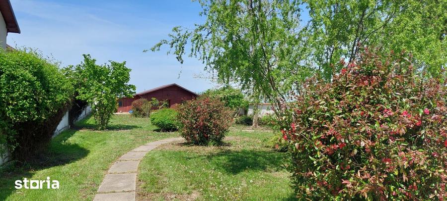 Vanzare vila cu piscina Snagov - Ciofliceni, teren 2649mp - 3