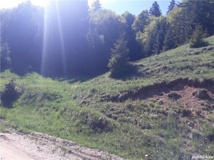 Teren de 4000 mp, în Poiana Brașov