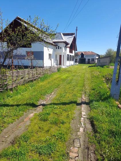 Casă cu 6 camere cu Teren 5400 Mp în Central