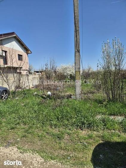 VANZARE teren Mogosoaia