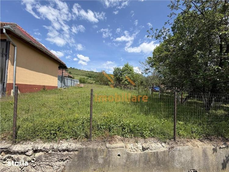 Spațiu comercial, în Sântandrei