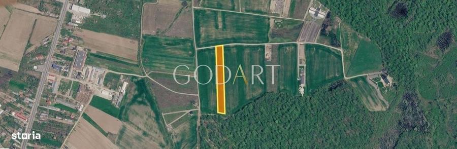 Spațiu comercial, în Ciolpani