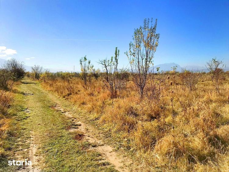 Teren de 6000 mp, în Ghimbav