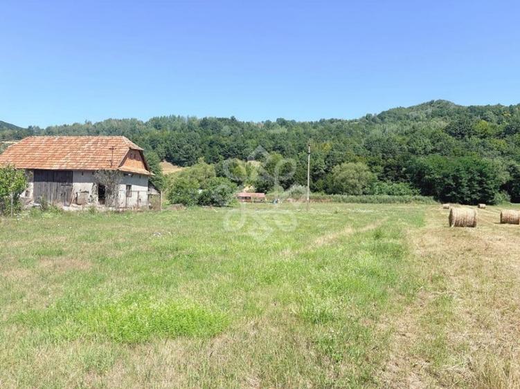 Teren de 3573 mp, în Negreni