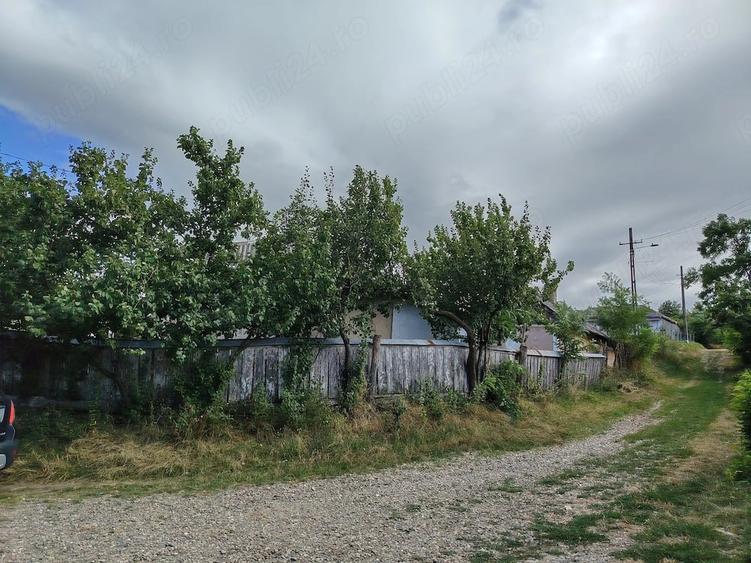 Casă cu 3 camere cu Teren 3600 Mp în Lunca