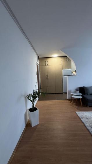 PF vand apartament 2 camere, Gr Alexandrescu, Manastur, intre Piata Flora si Primaverii - 3