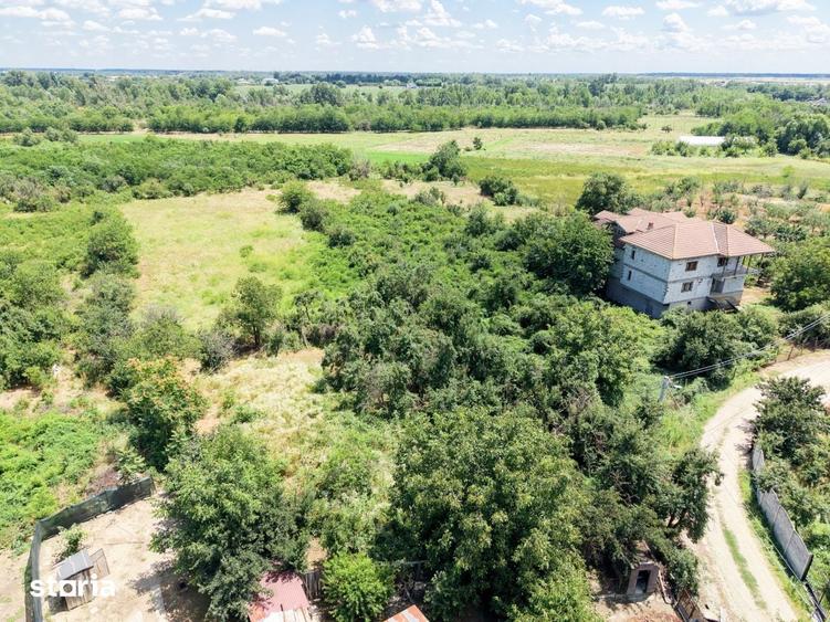 Curte 3200 mp Bolintin Vale, intravilan, intre case - 14