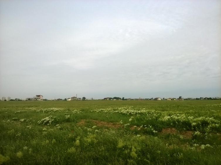 Teren intravilan de 3700 mp, în Theodor Pallady
