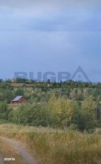 Teren extravilan, 4265 mp, zona Dangau Mare - 1