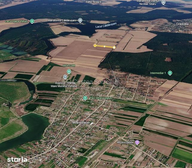 De vanzare | Teren 6.648 MP | Gruiu | Moara Vlasiei