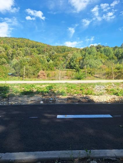 Teren Construcții extravilan de 4847 mp, în Nădrag