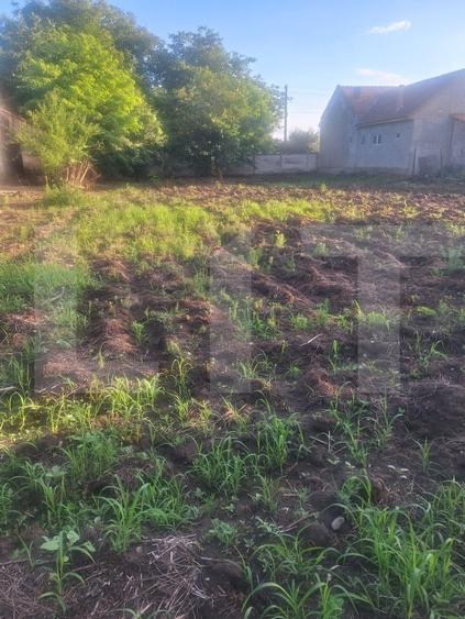 Casă individuală cu 4 camere cu Canalizare în Criciova