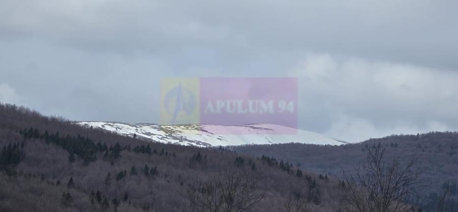 Teren intravilan 2200 mp de vanzare in Valea Doftanei - 1