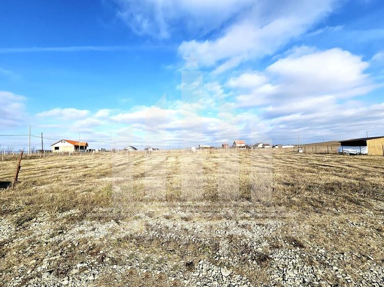 Teren Construcții intravilan de 509 mp, în Oarda