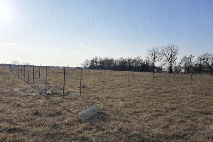 Teren de 695 mp, în Moșnița Nouă