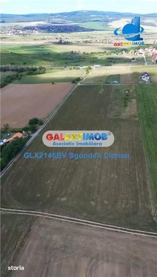 Teren de 1633 mp, în Feldioara