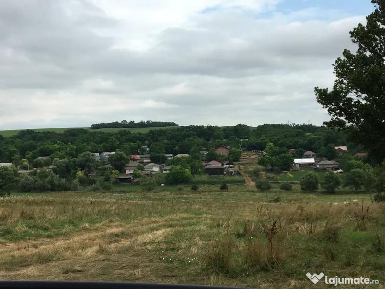 Casă cu 4 camere în Viișoara