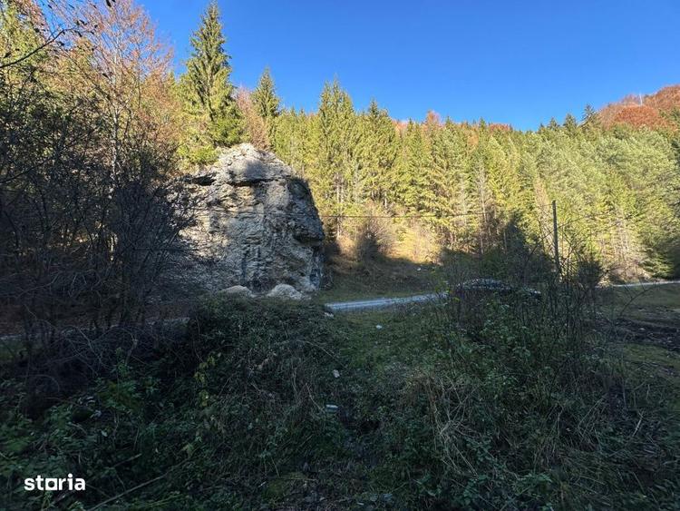 Teren de 2882 mp, în Dâmbovicioara