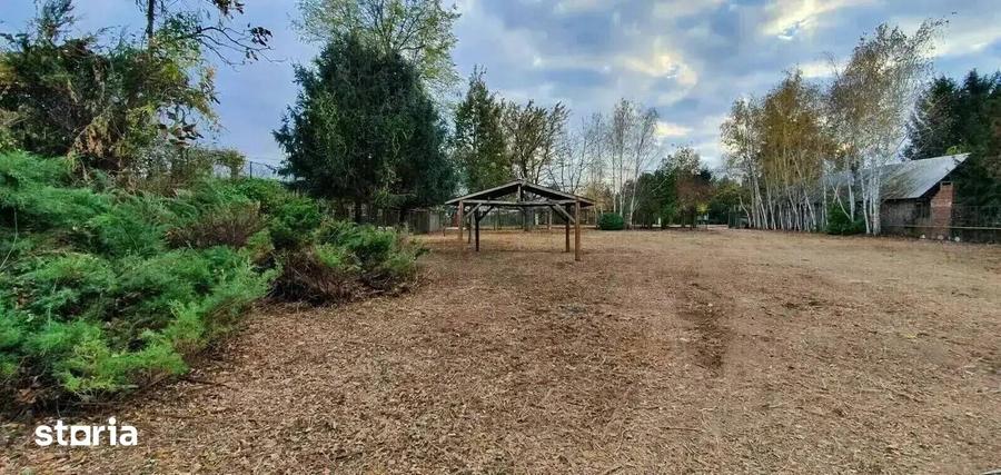 Vila pe malul lacului, 6 camere, Snagov - 8