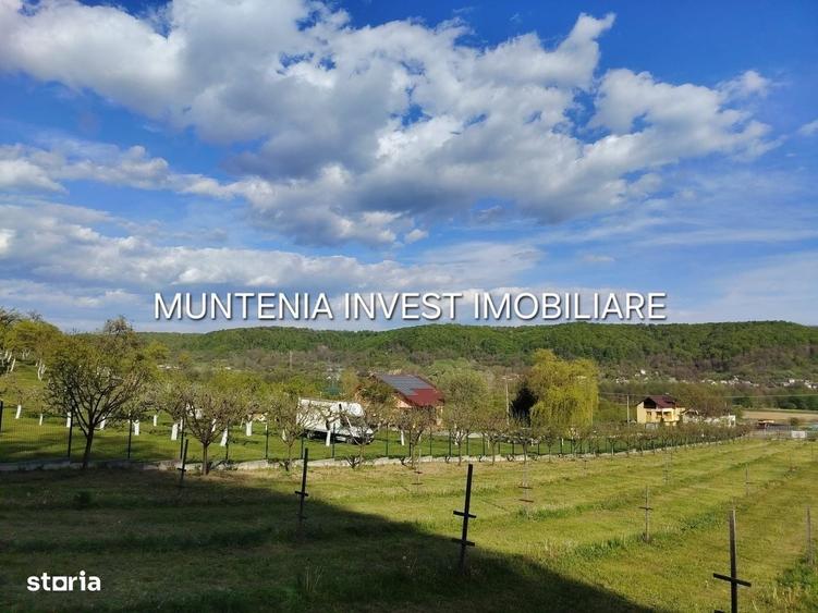 Spațiu comercial, în Albota