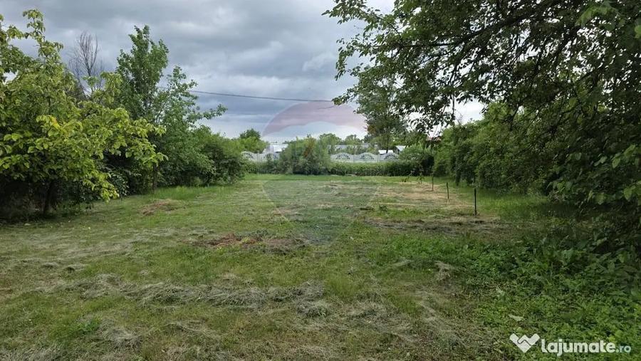 Domeniu rural, gospodarie/multifunctionala cu casa, livad... - 14