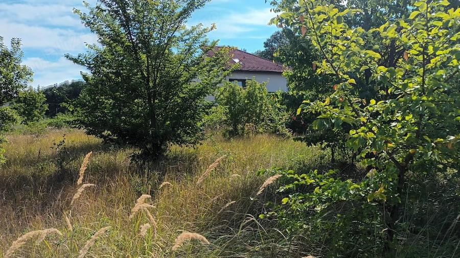 Teren de 1128 mp, în Snagov