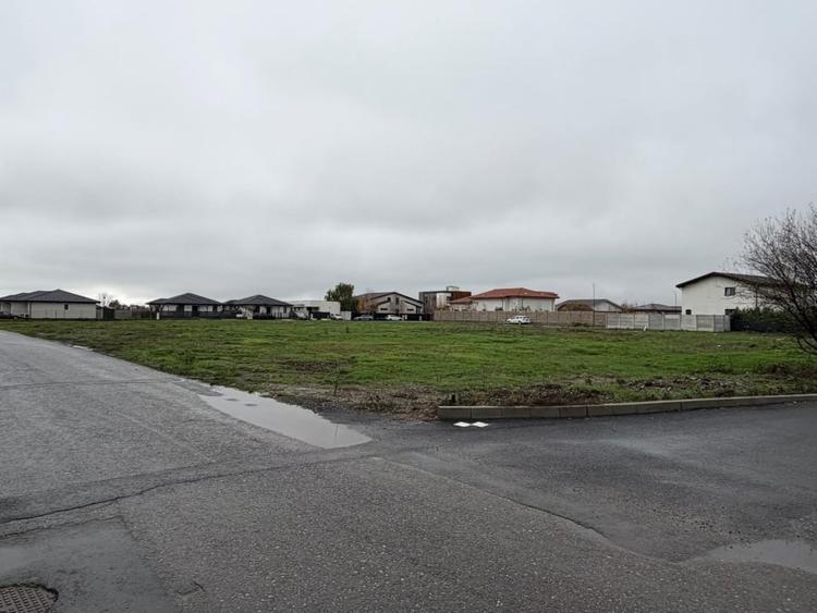 Teren Construcții intravilan de 4920 mp, în Tamași