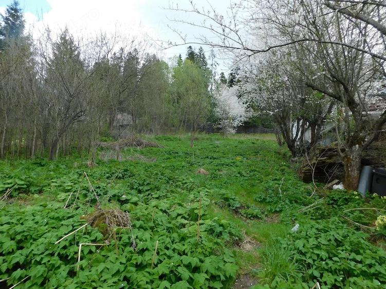 Teren de 1000 mp, în Central