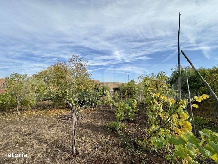 Casă cu 4 camere cu Teren 1220 Mp în Cut