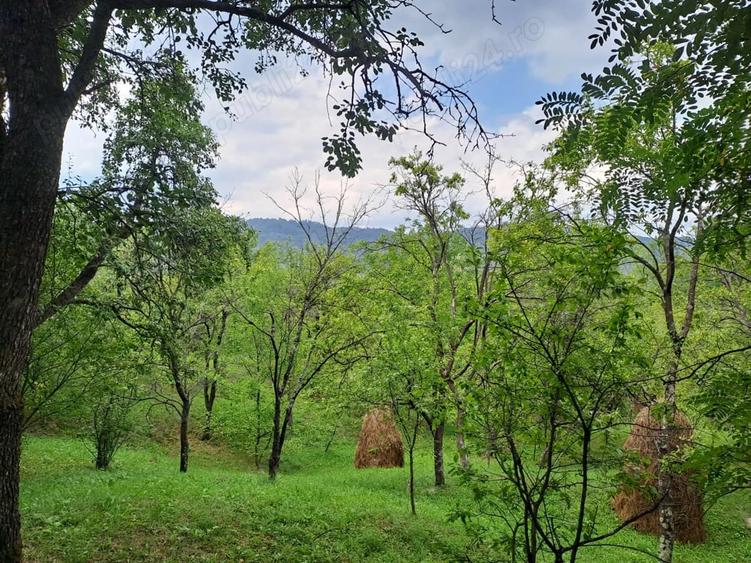 Teren în Șotrile