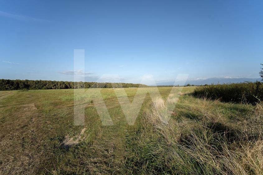 Teren agricol extravilan de 600 mp, în Cisnădie