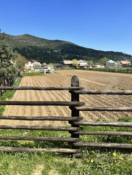 Teren Construcții intravilan de 750 mp, în Vama