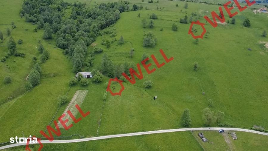 Teren de 3200 mp, în Barcani