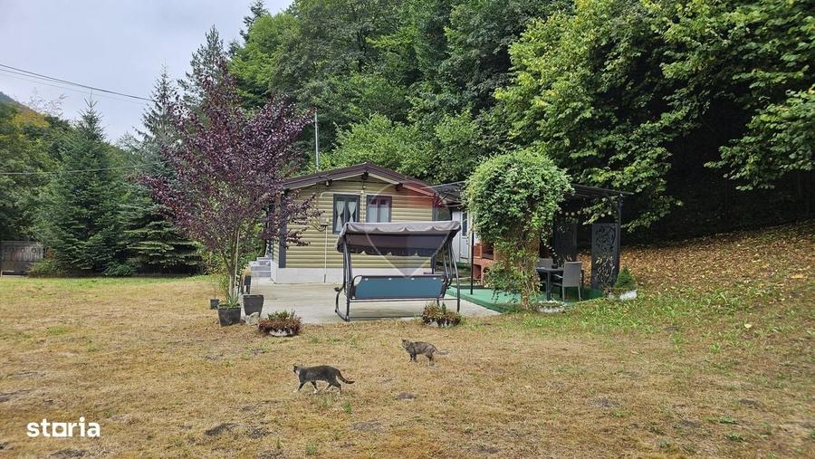Casuta de vacanta de vanzare comuna Alexandru cel Bun, Neamt - 2