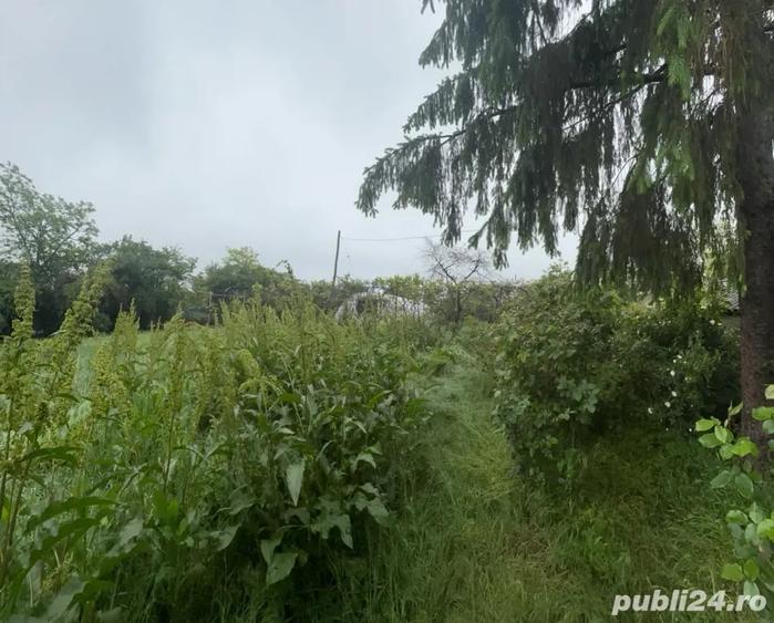 Casă cu 3 camere cu Teren 2000 Mp în Produlești