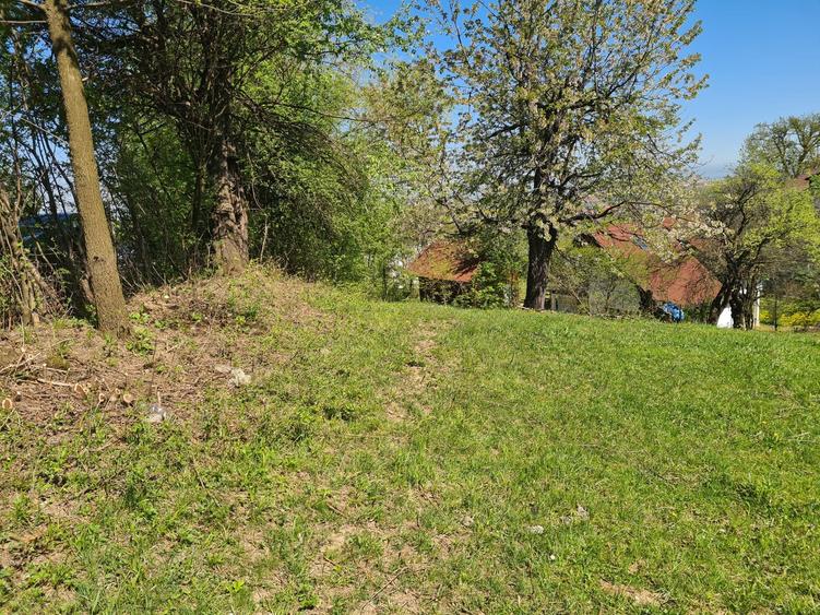 Teren Construcții intravilan de 1500 mp, în Poiana Angelescu