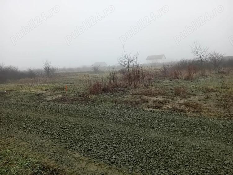 De vinzare teren Mo?ni?a veche zona bistra - 3