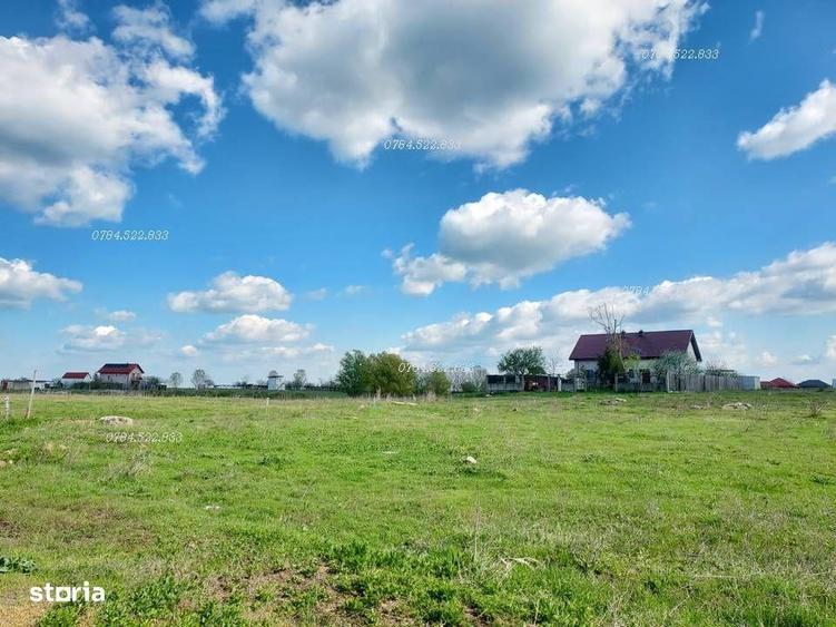 Teren dubla deschidere, zona de lacuri Berceni Ilfov - 2