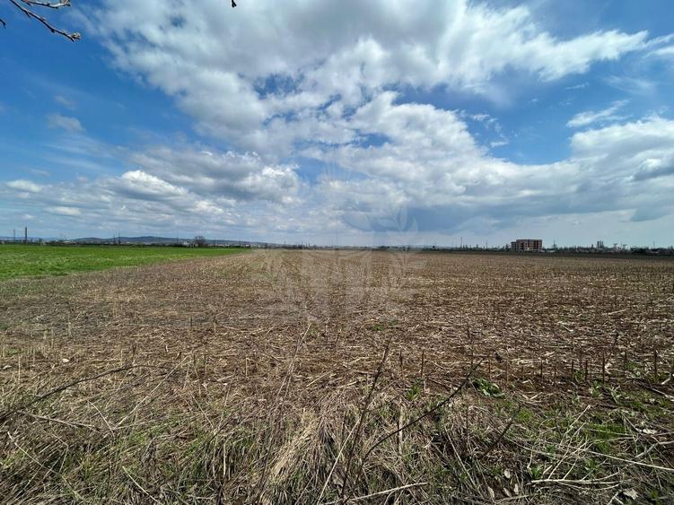 Teren Construcții intravilan de 19989 mp, în Nord