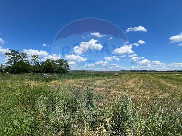 Teren Construcții intravilan de 2900 mp, în Jucu de Sus