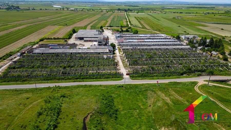 Spațiu industrial, de 100,000 mp, în Buhoci
