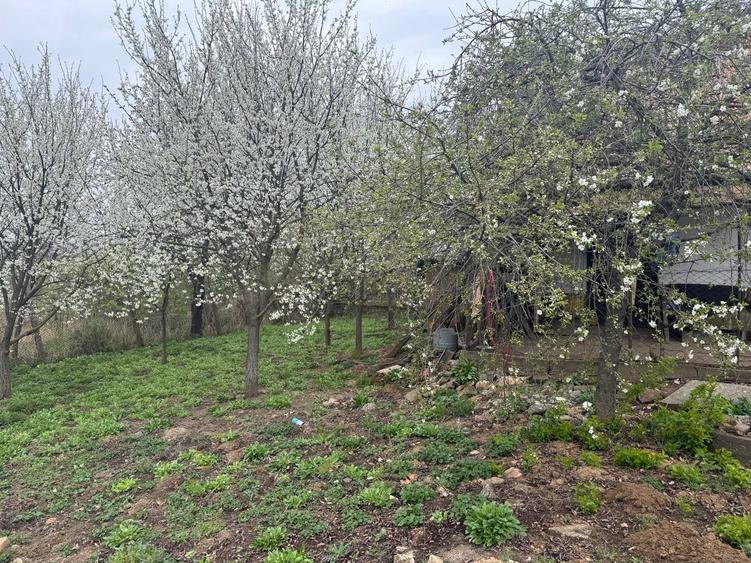 Casă cu 3 camere în Crestur