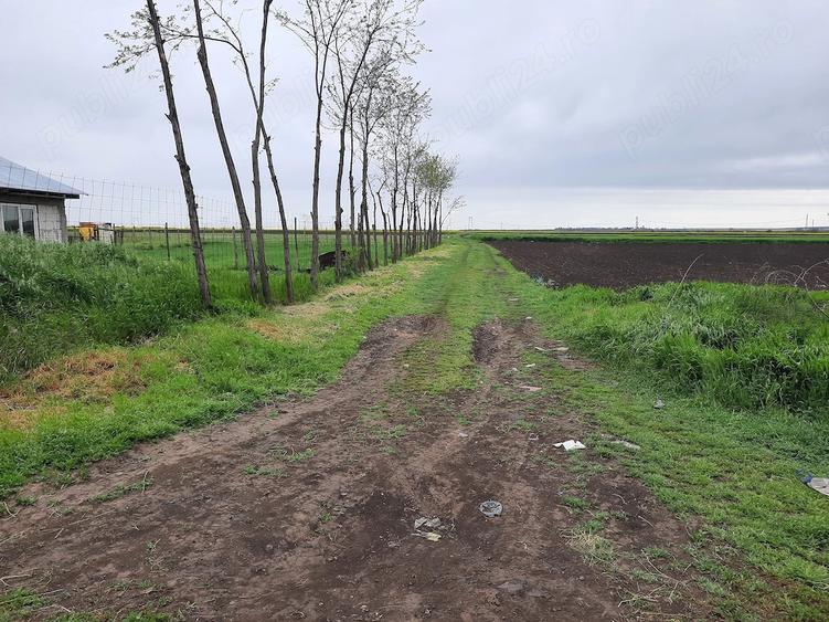 Vand teren intravilan (4500mp) comuna TUDOR VLADIMIRESCU, jud. Galati - 5