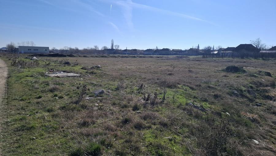 Teren Construcții intravilan de 2781 mp, în Nădlac